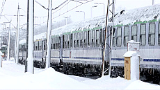 Trasa kolejowa Działdowo – Olsztyn zablokowana. Drzewo zerwało sieć trakcyjną Trasa kolejowa Działdowo – Olsztyn zablokowana. Drzewo zerwało sieć trakcyjną